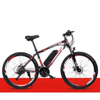 Electric Mountain Bike 250W B01