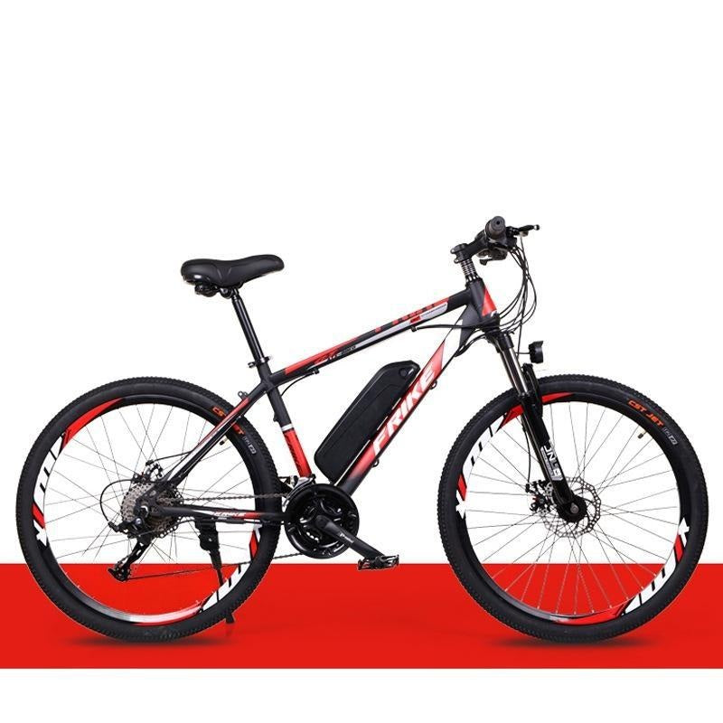 Electric Mountain Bike 250W B01