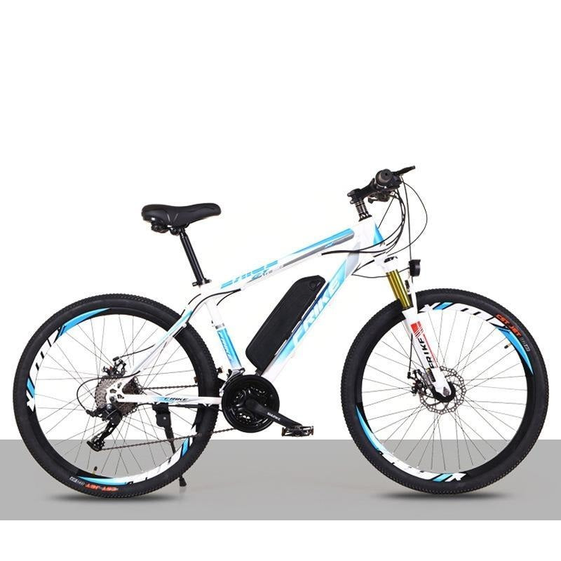 Electric Mountain Bike 250W B01