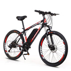 Mountain Electric Bike MT01