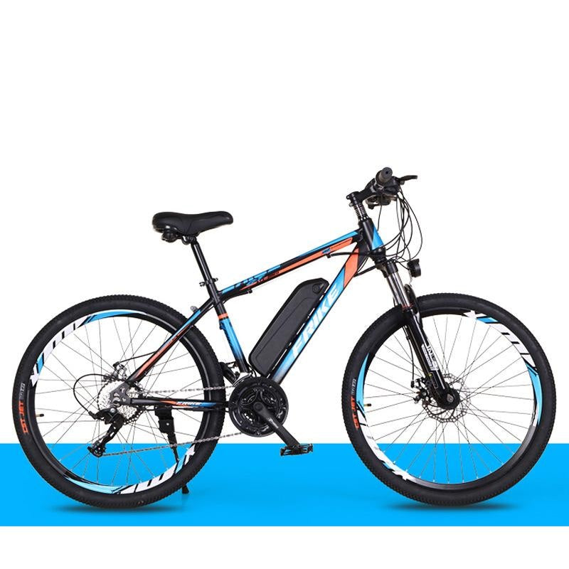 Electric Mountain Bike 250W B01