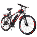 Electric Mountain Bike 250W B01