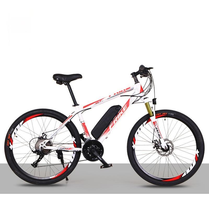 Mountain Electric Bike MT01
