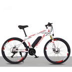 Mountain Electric Bike MT01