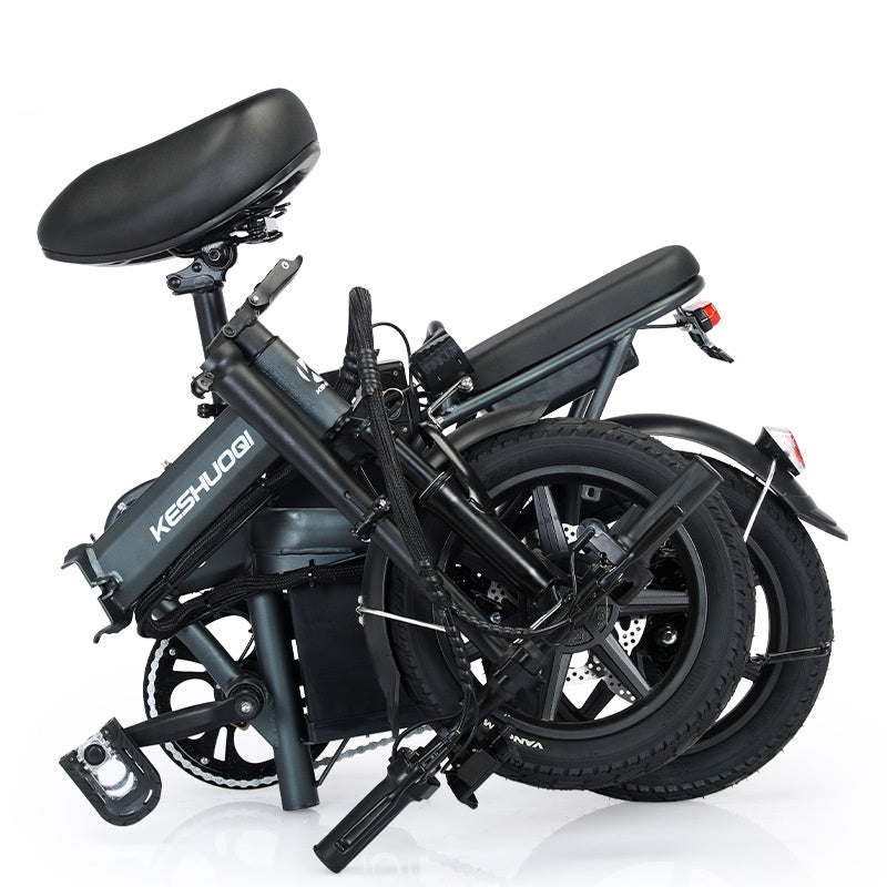 Folding One Piece Wheels Electric Bike FD05