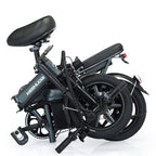 Folding One Piece Wheels Electric Bike FD05