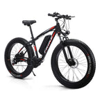 Fat Tire Mountain Electric Bike FT01