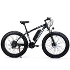 Fat Tire Mountain Electric Bike FT01