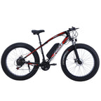 Fat Tire Mountain Electric Bike FT03