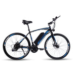 Mountain Electric Bike MT09