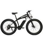 Fat Tire Mountain Electric Bike FT02
