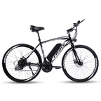 Mountain Electric Bike MT09