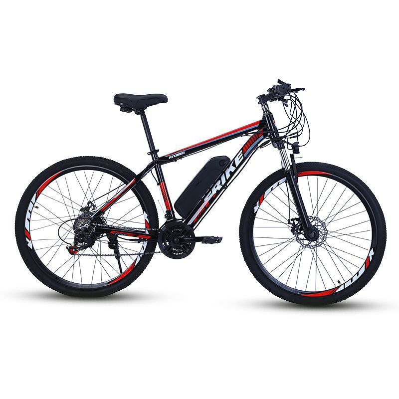 Electric Mountain Bike 250W B01