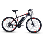 Electric Mountain Bike 250W B01