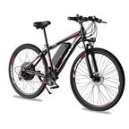 Mountain Electric Bike MT02