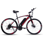 Mountain Electric Bike MT09