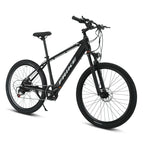 Mountain Electric Bike MT04