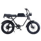 Fat Tire Soft Tail Electric Bike FT05