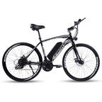 Mountain Electric Bike MT09