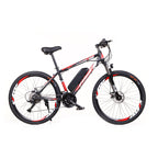 Mountain Electric Bike MT01