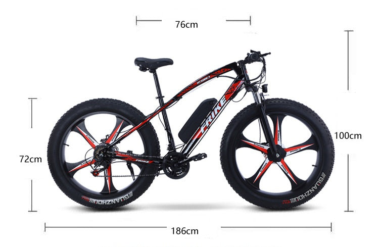 Fat Tire Mountain One Piece Wheels Electric Bike FT04