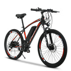 Mountain Electric Bike MT07