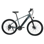 Mountain Electric Bike MT04