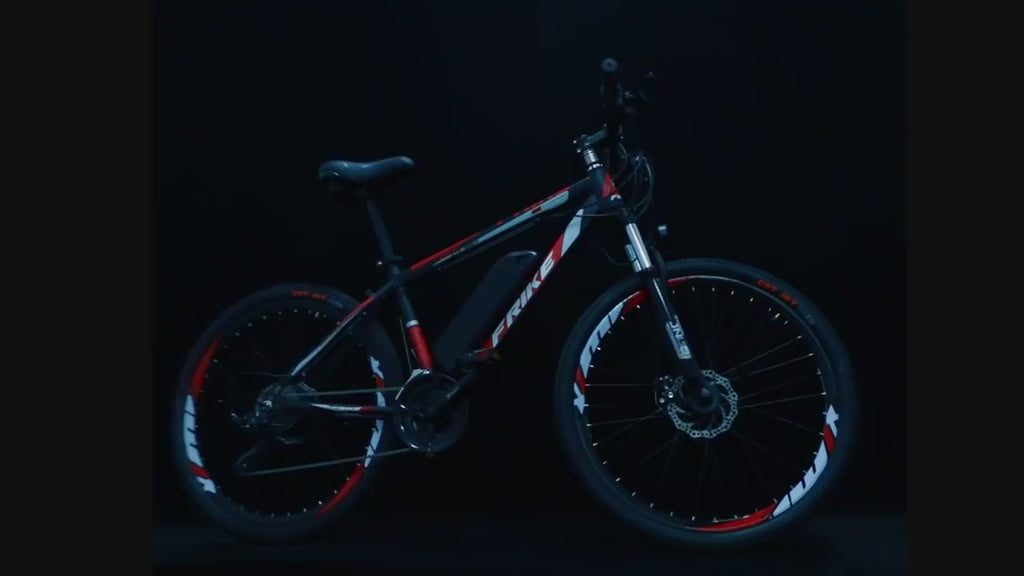Electric Mountain Bike 250W B01