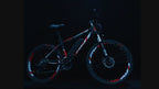Electric Mountain Bike 250W B01