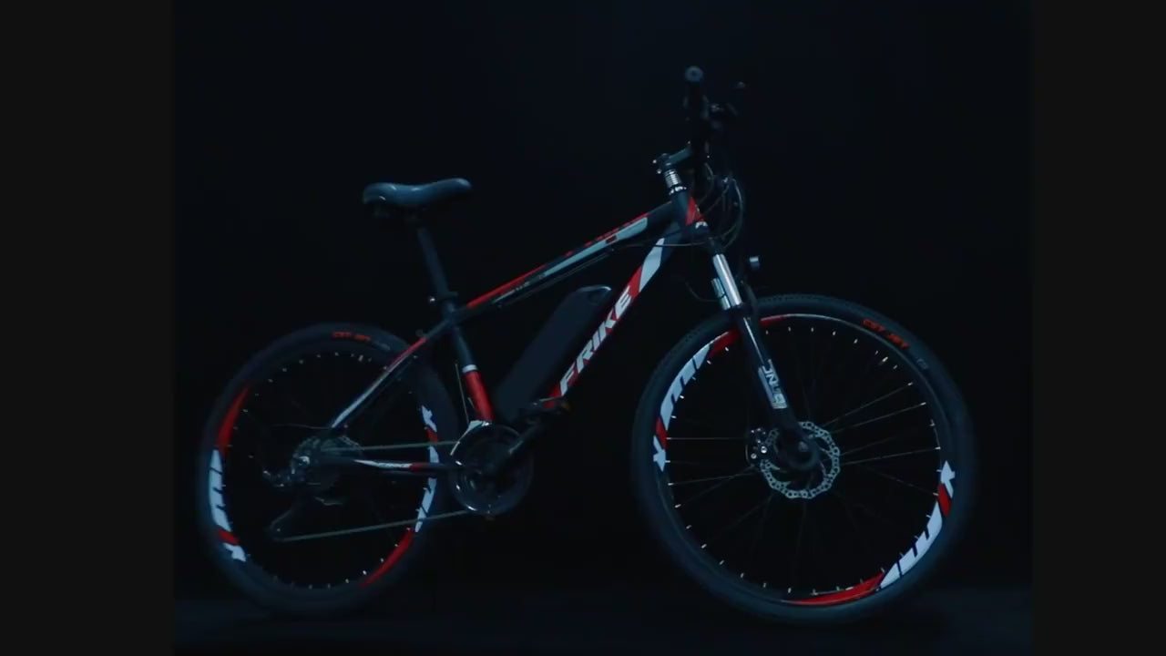 Electric Mountain Bike 250W B01
